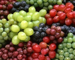 Ahora podrás calcular la fertirrigación de cientos de variedades de uva de vino y uva mesa.