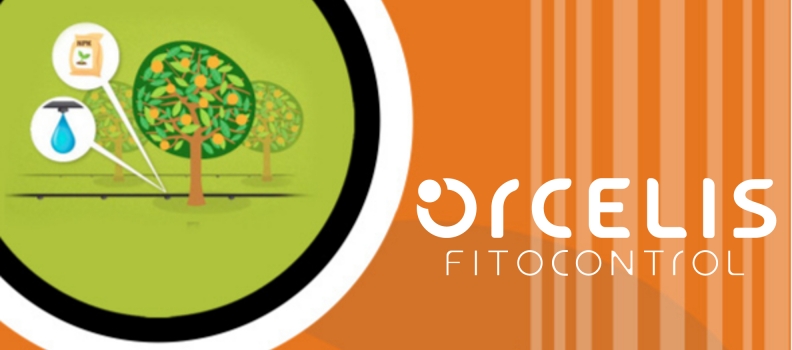 The Council of Granada publishes a manual to use Orcelis Fitocontrol